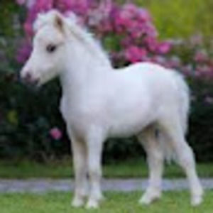 Meet your Posher, Kaly